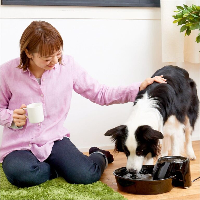 Pet Pioneer Big Max Ceramic Pet Drinking Fountain 128oz (Black)