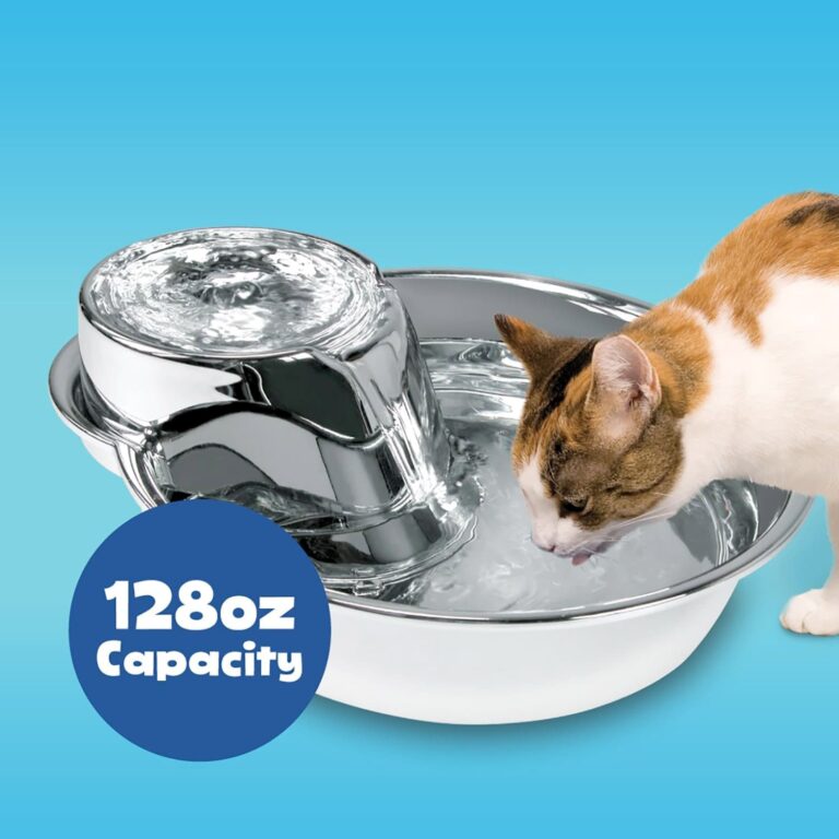 Pioneer Pet Big Max Pet Drinking Fountain 128oz – Stainless Steel