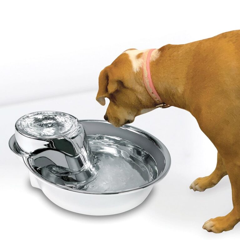 Pioneer Pet Big Max Pet Drinking Fountain 128oz – Stainless Steel