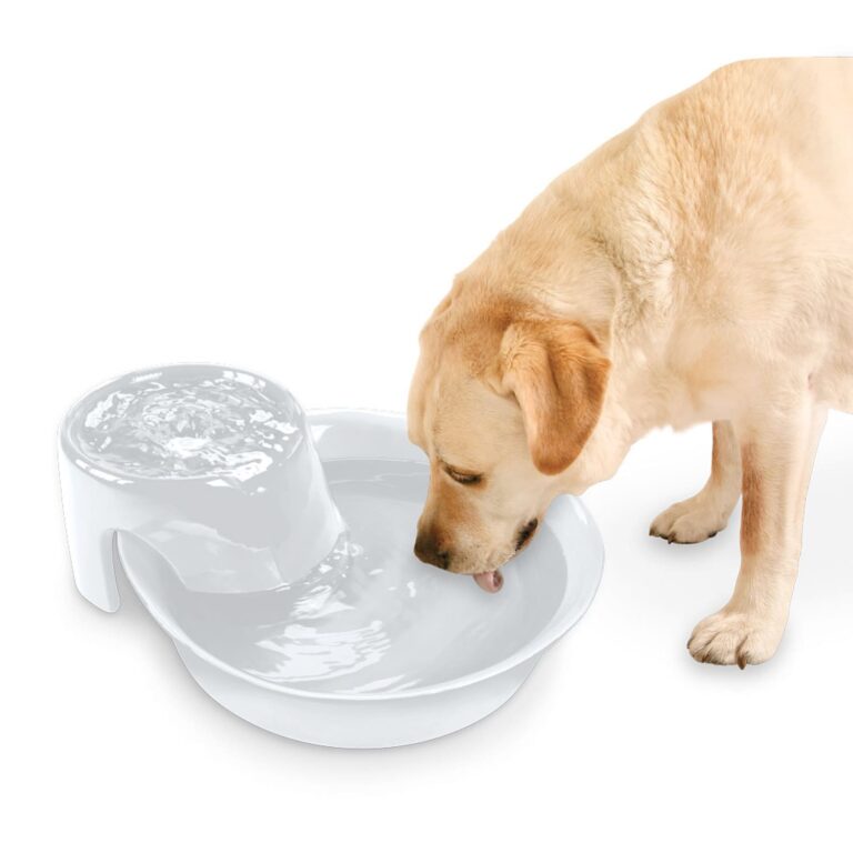 Pet Pioneer Big Max Ceramic Pet Drinking Fountain 128oz (White)