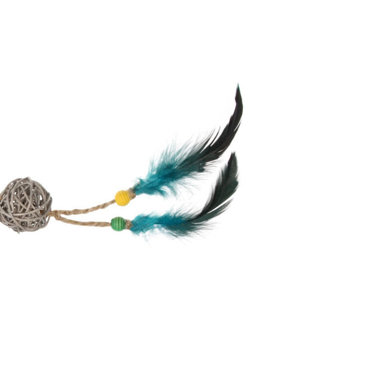 GiGwi Eco Line Catch Scratch with Rattle Wood / Feather / Rattan