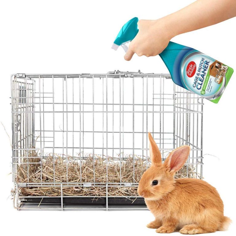Simple Solution Cage & Hutch Natural Anti-Bacterial Cleaner – 500 ml