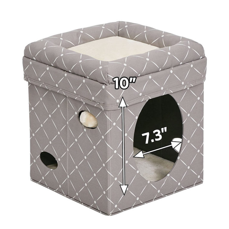 MidWest Curious Cat Cube – Mushroom