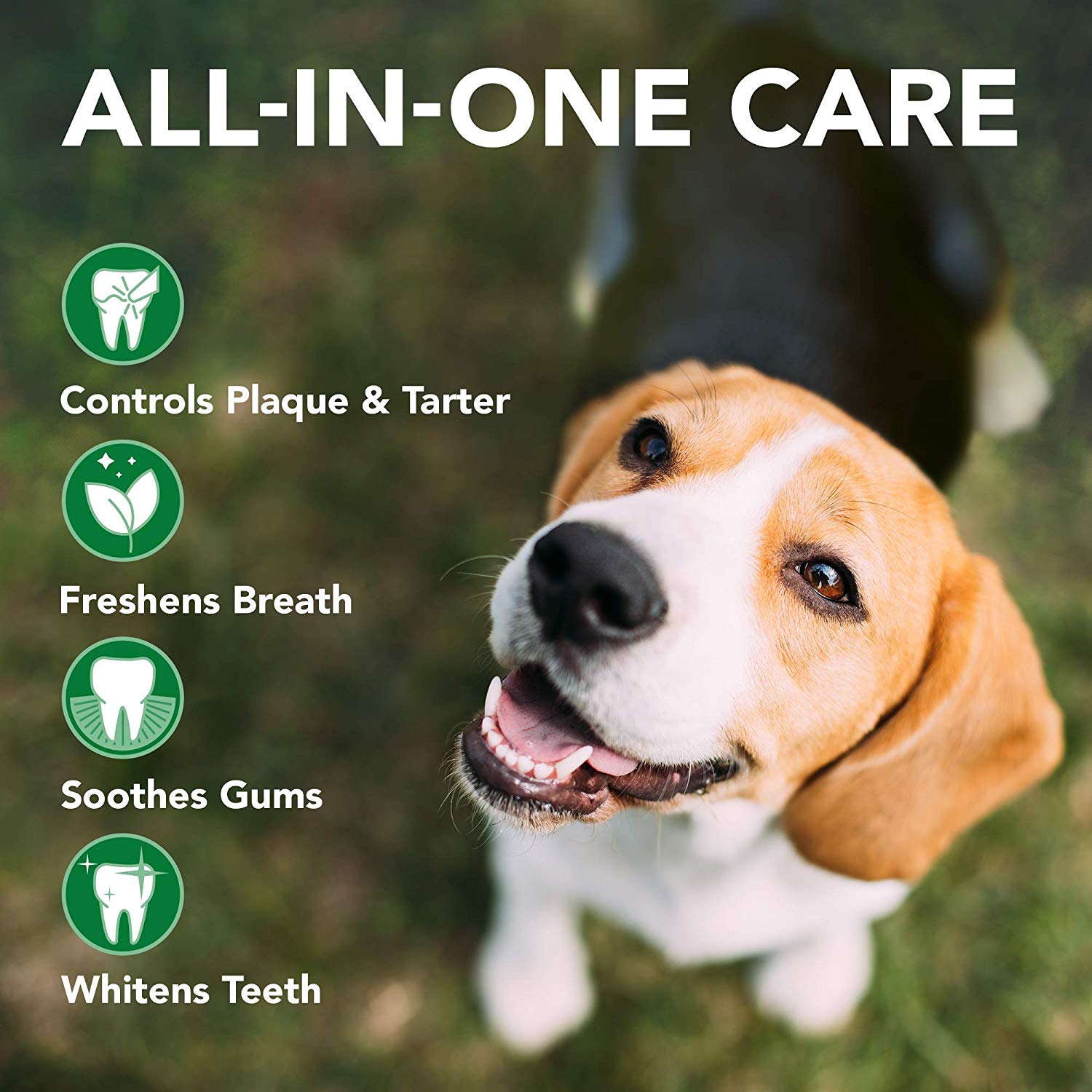 Vet's Best Complete Enzymatic Dental Care Kit