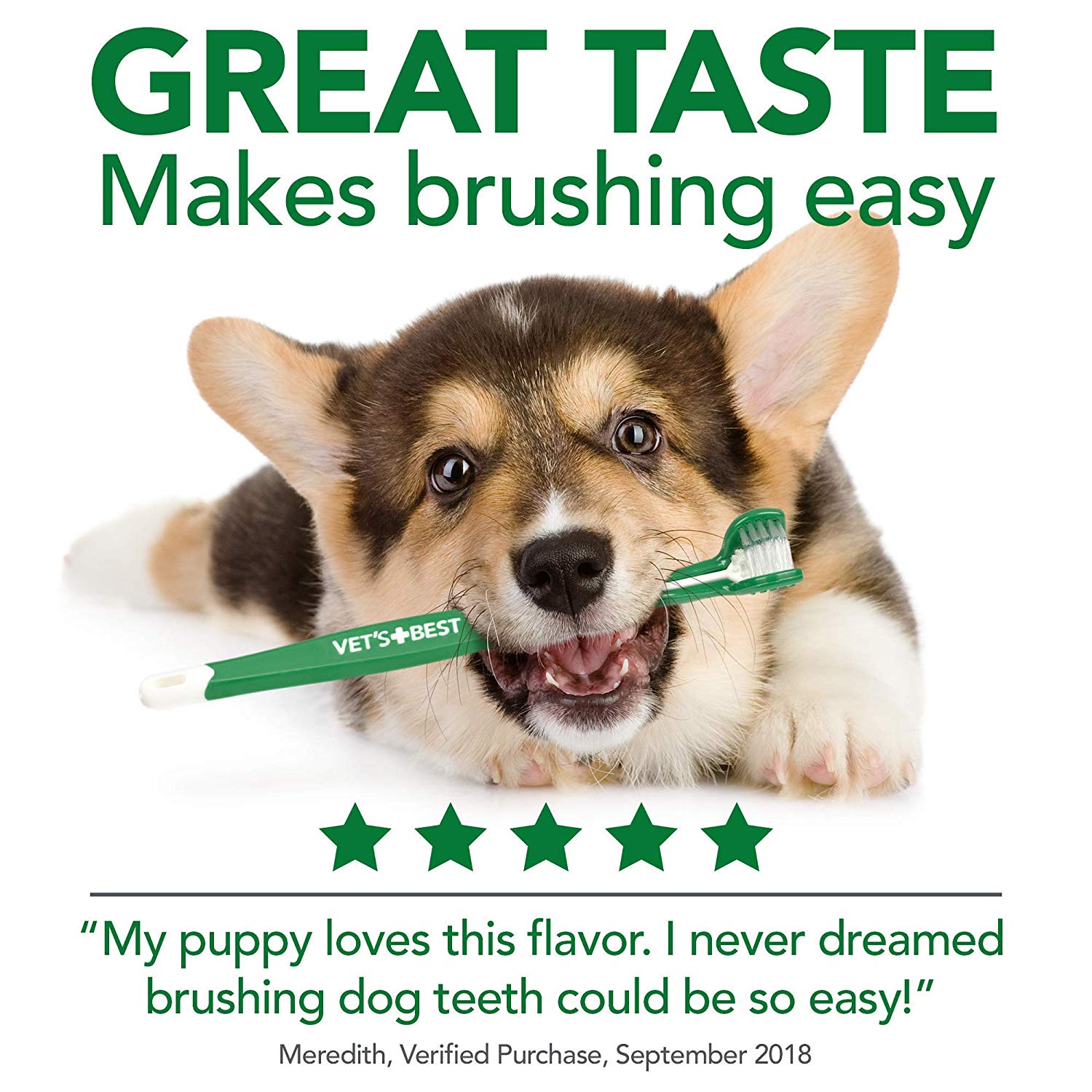 Vet's Best Complete Enzymatic Dental Care Kit