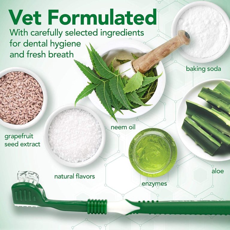 Vet's Best Complete Enzymatic Dental Care Kit