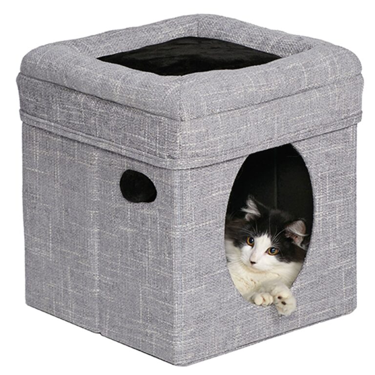 MidWest Curious Cat Cube – Silver