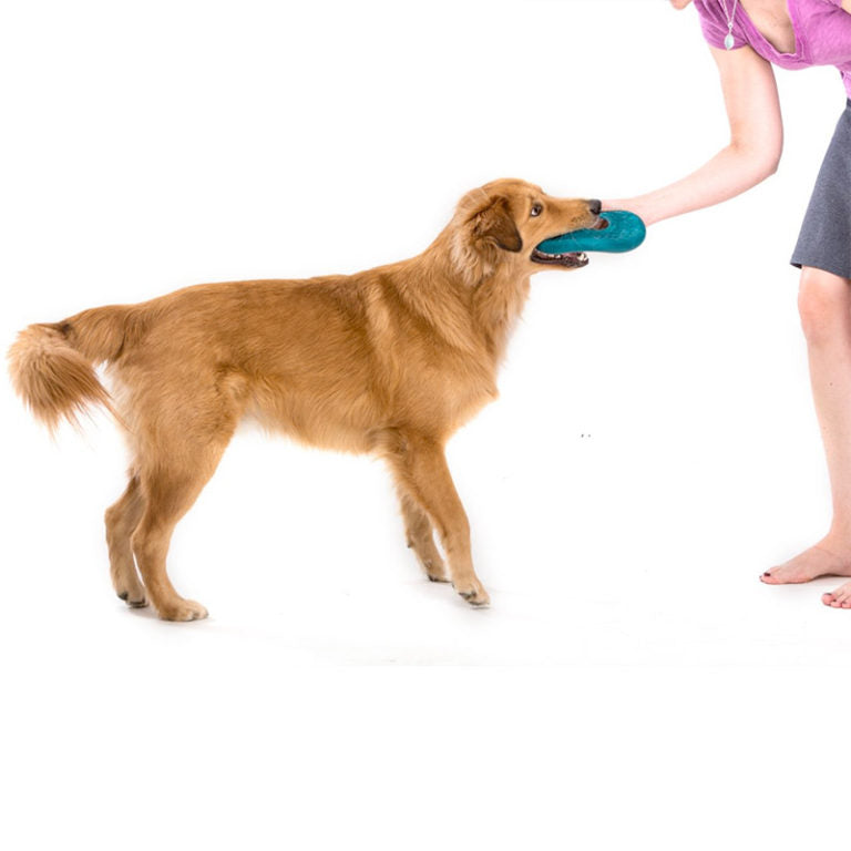 West Paw Westpaw Design Dash Dog Frisbee