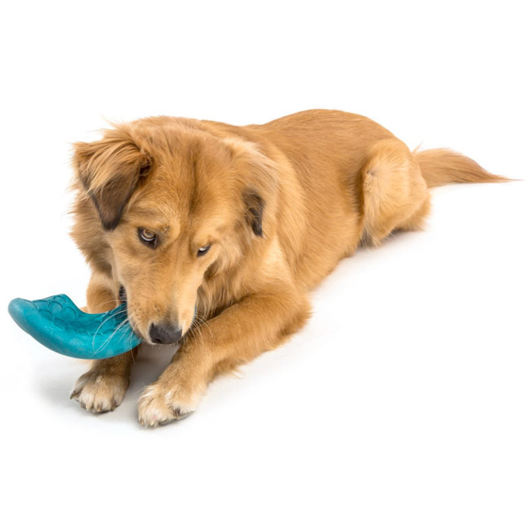 West Paw Westpaw Design Dash Dog Frisbee