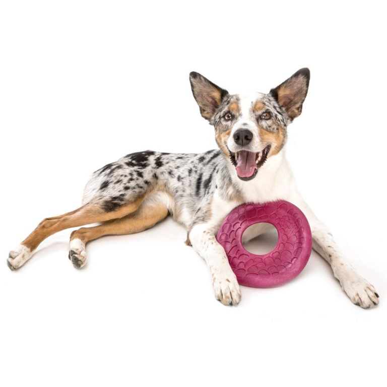 West Paw Westpaw Design Dash Dog Frisbee