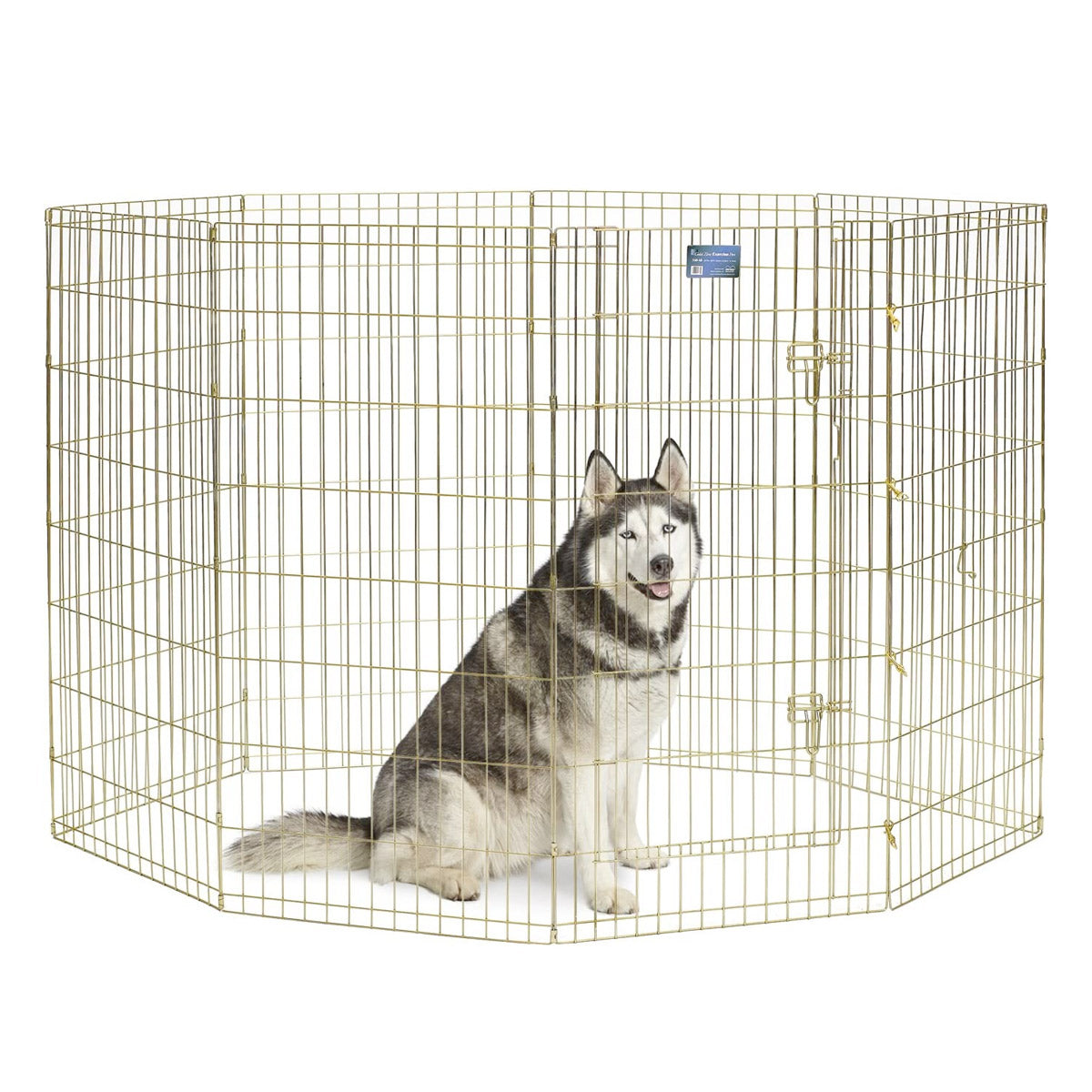 MidWest Foldable Exercise Pen With Door – Gold Zinc 48 inch