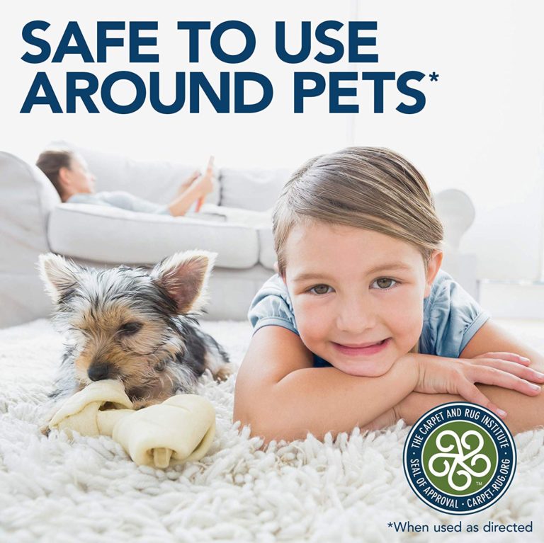 Simple Solution Extreme Pet Stain and Odor Remover 32 OZ