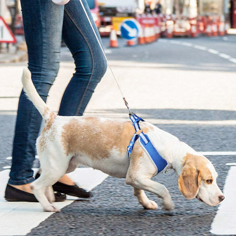 Fida Step-in Dog Harness – Reflective