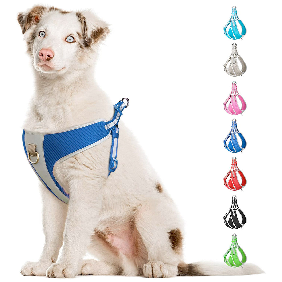 Fida Step-in Dog Harness – Reflective