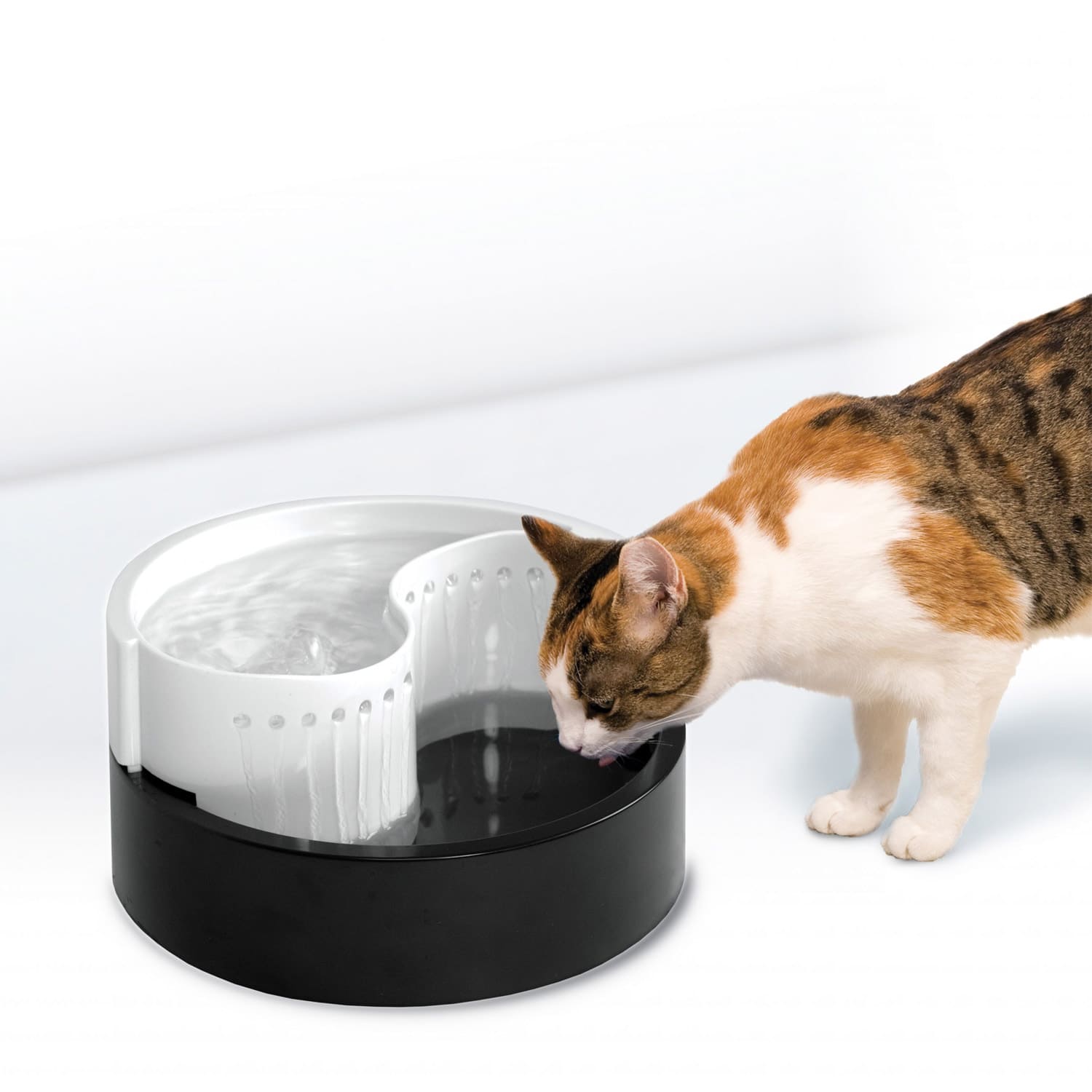Pioneer Pet Fung Shui Premium Plastic Drinking Fountain 60 oz (1.8 L)
