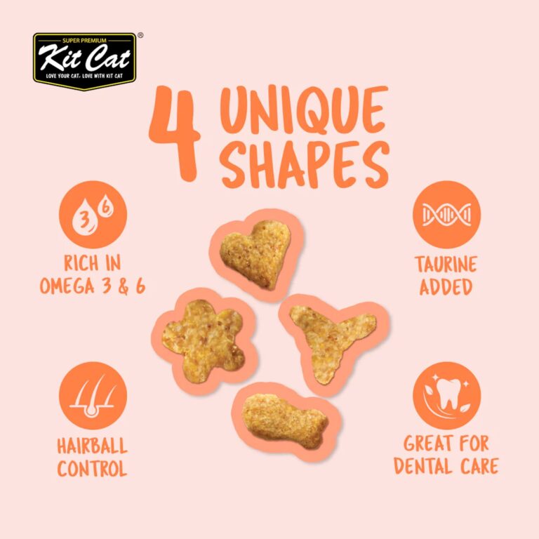 Kit Cat Kitty Crunch Salmon Flavor 60g