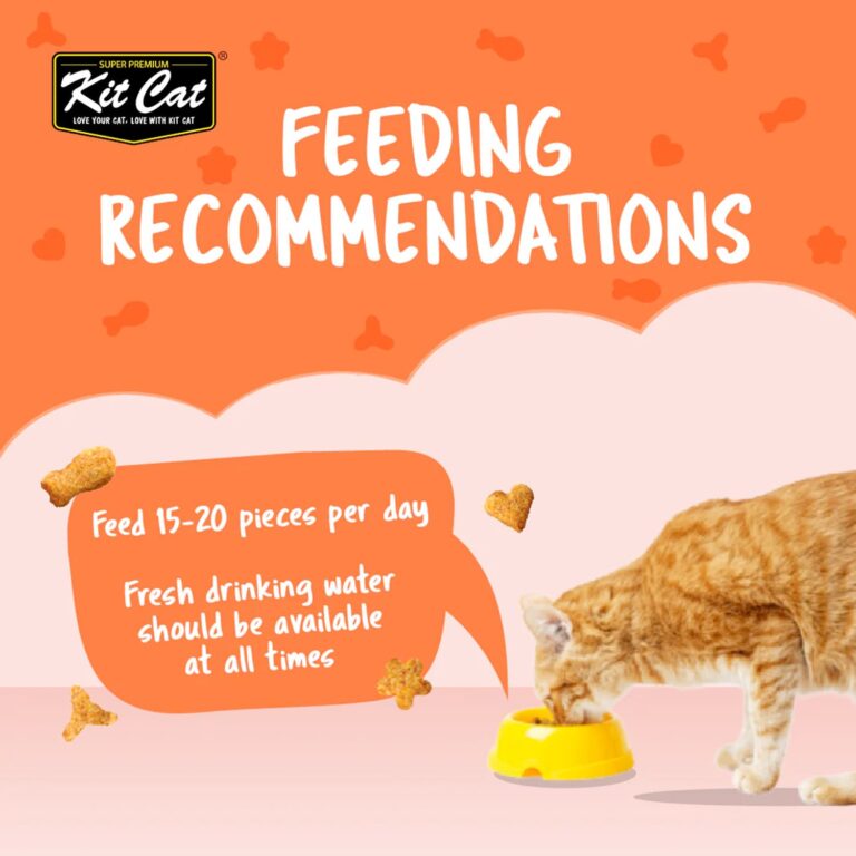 Kit Cat Kitty Crunch Salmon Flavor 60g