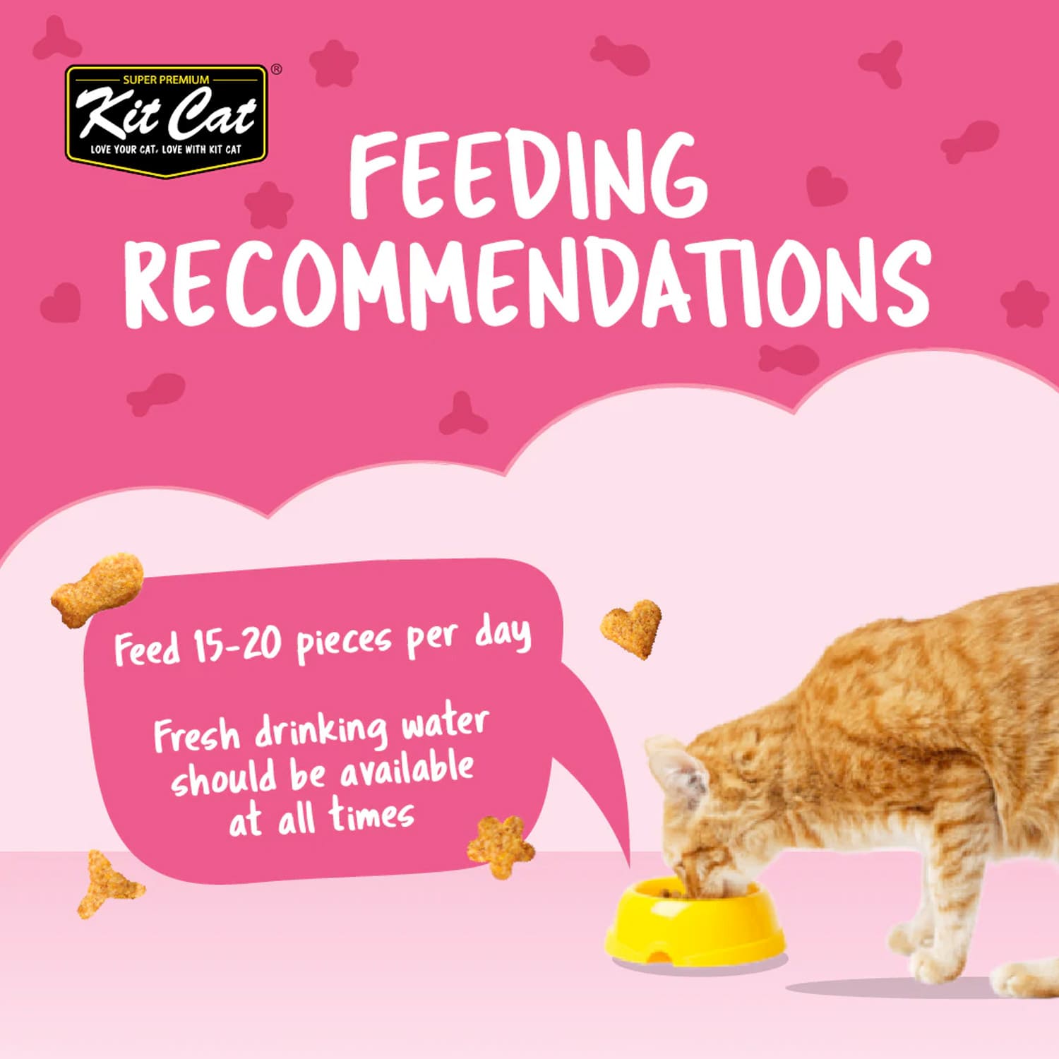 Kit Cat Kitty Crunch Tuna Flavor 60g