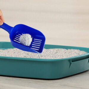 Kiki Kat White Bentonite Clumping Cat Litter – Mountain Fresh – 5L (4.35 Kg)
