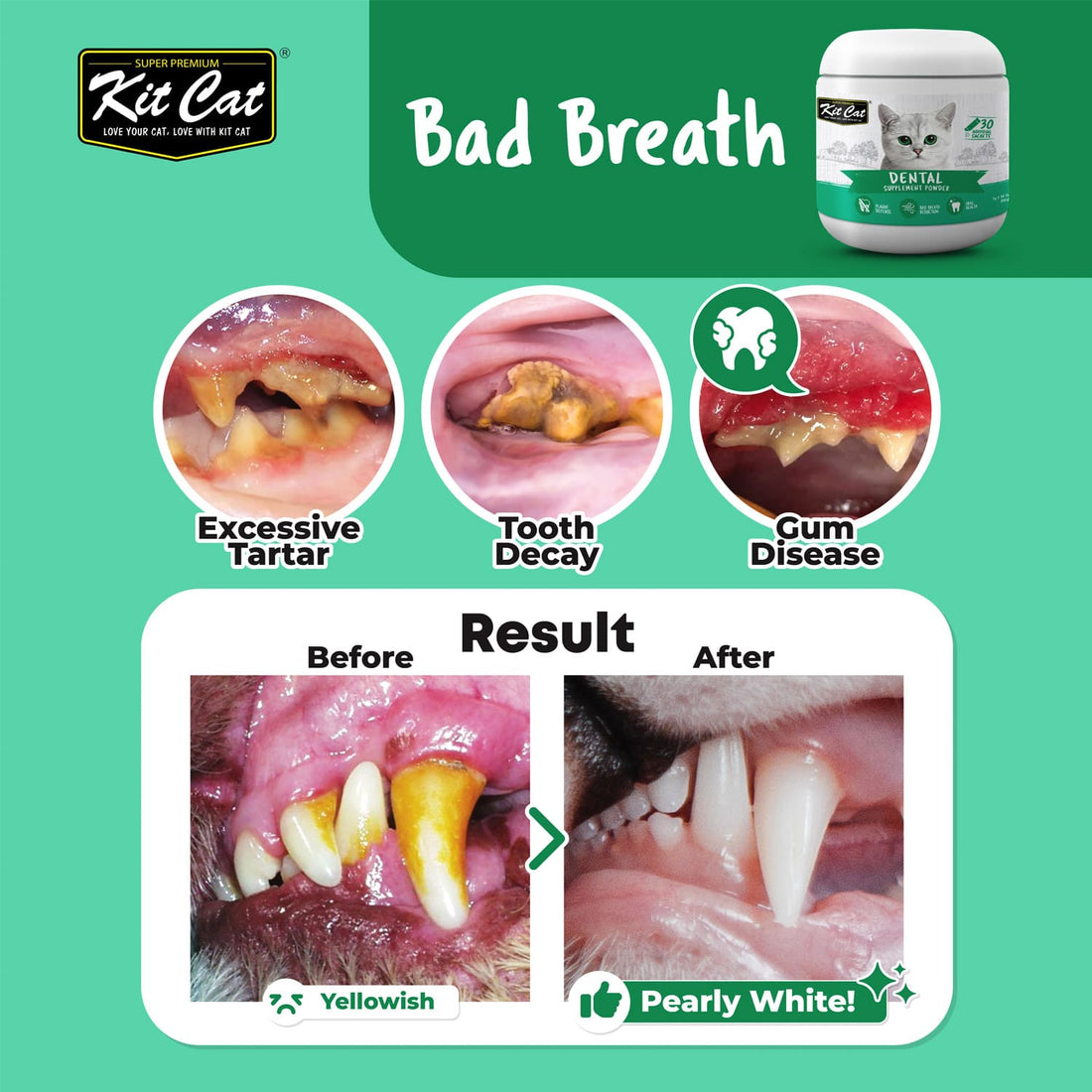 Kit Cat Dental Supplement Powder 150g (5g x 30 Sachets)