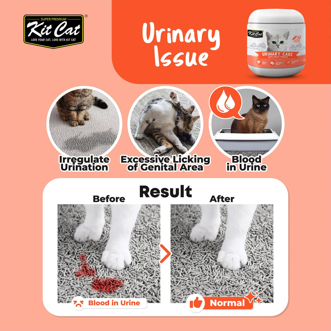Kit Cat Urinary Care Supplement Powder 150g (5g x 30 Sachets)