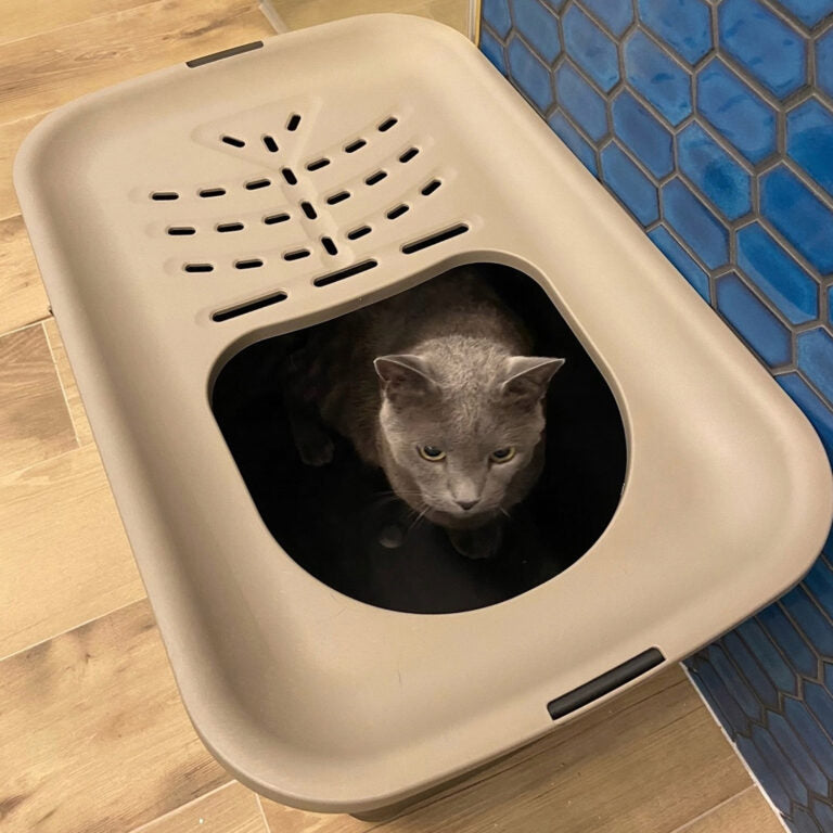 Bergamo MICIA litter box for cats, Hop-In type with top entry (58x38x40cm)