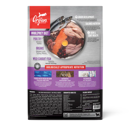 Orijen Large Breed Puppy Protein-Rich Dog Dry Food