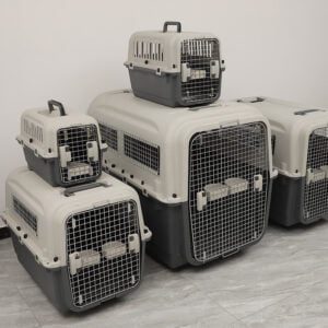 Flyfurr Airline Approved Plastic Pet Transporter