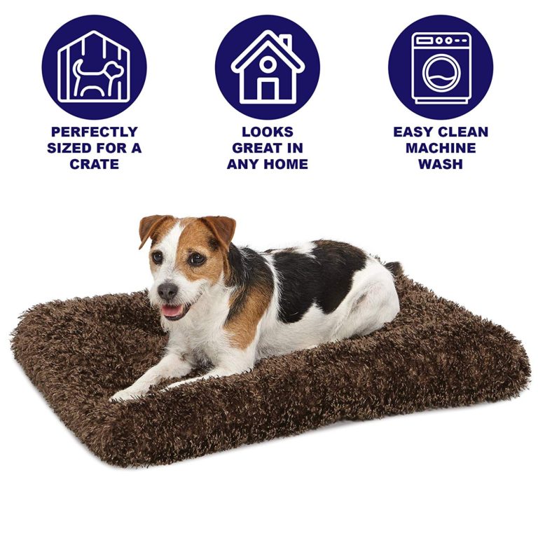 MidWest QuietTime Deluxe CoCo Chic Pet Bed