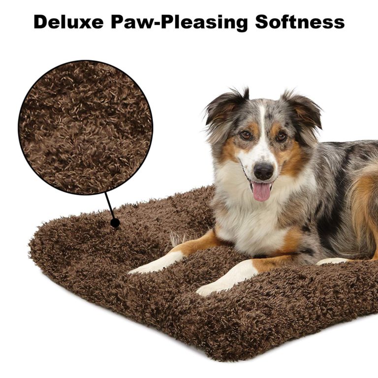 MidWest QuietTime Deluxe CoCo Chic Pet Bed
