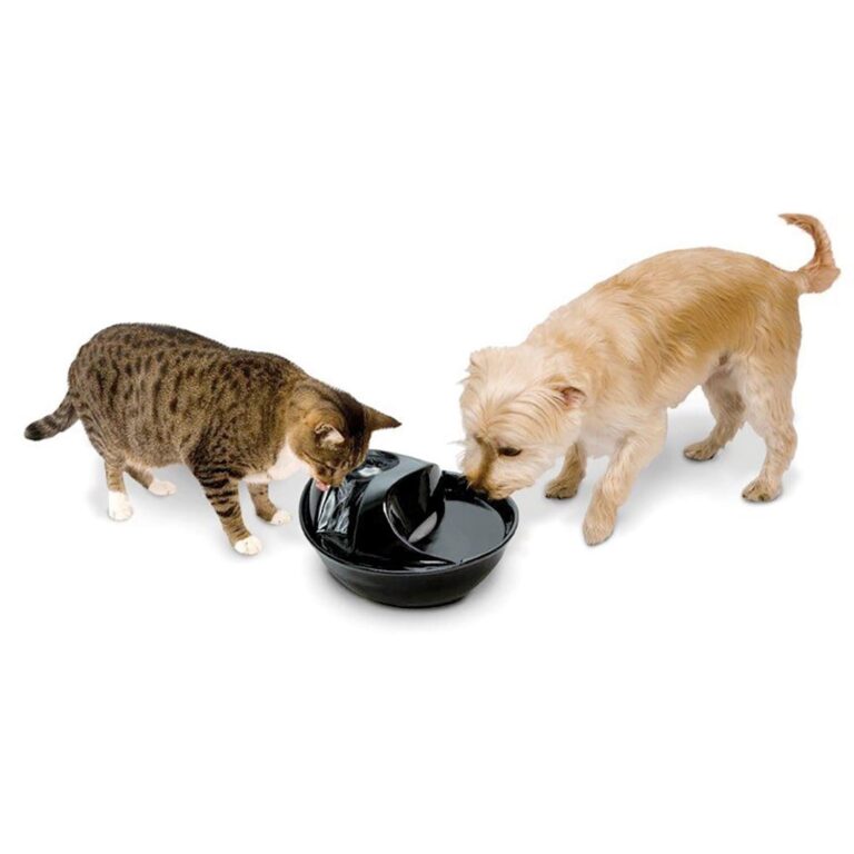 Pioneer Pet Raindrop Durable Ceramic Pet Fountain 60 oz (Black)