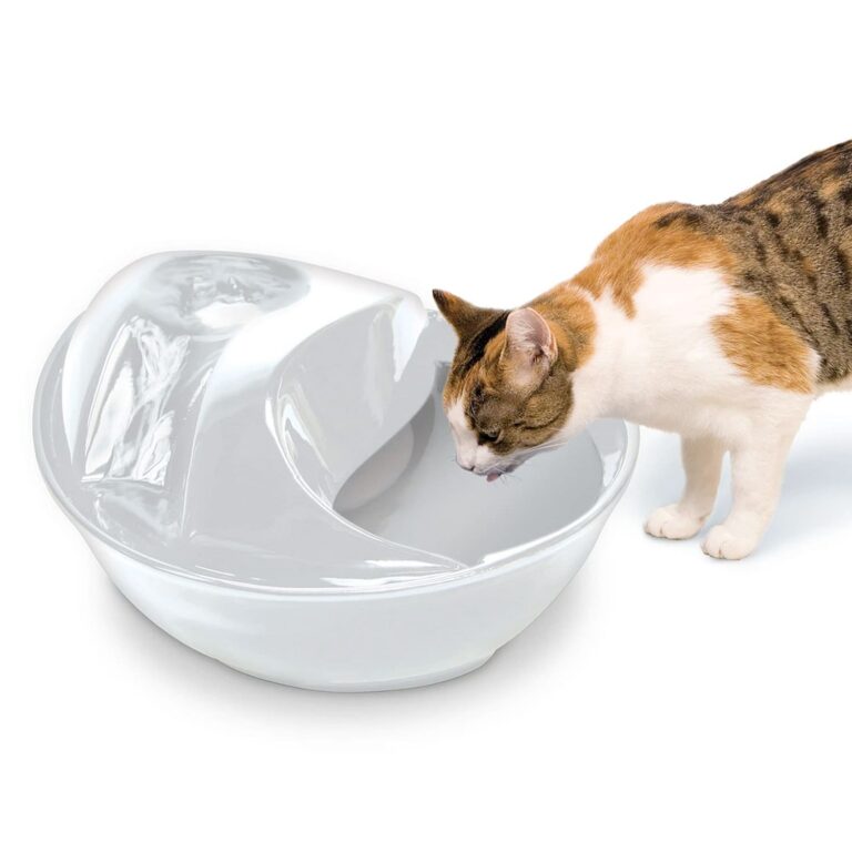 Pioneer Pet Raindrop Durable Ceramic Pet Fountain 60oz (White)
