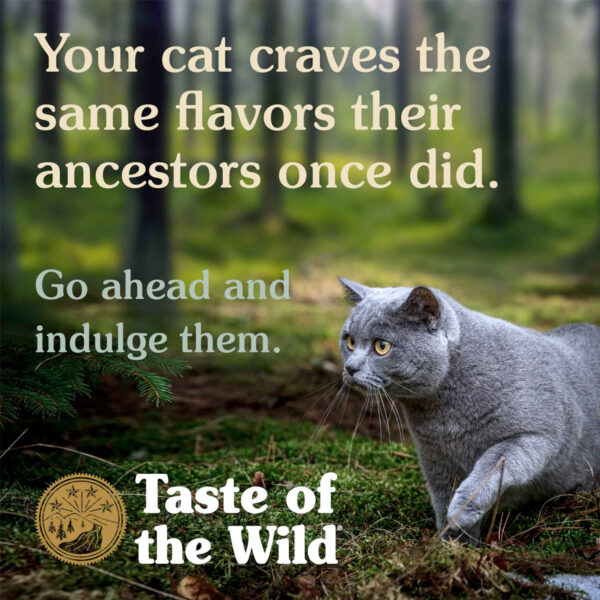 Taste of the Wild: Canyon River Feline Recipe 85gr ( 1Box – 24pcs)