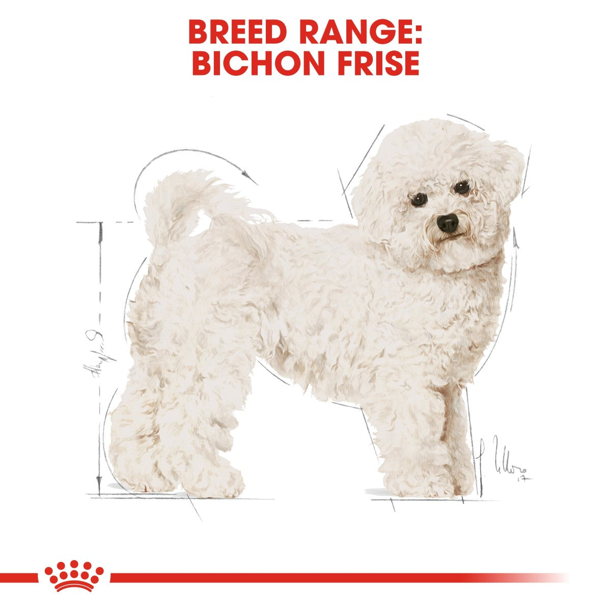 Royal Canin: Breed Health Nutrition Bichon Frise Adult 1.5 kg