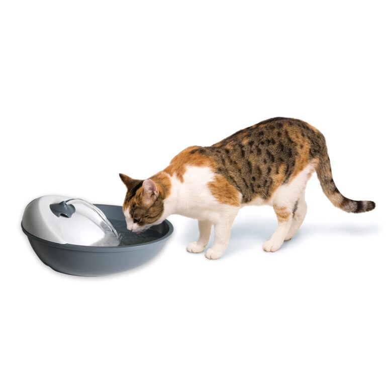 Pioneer Pet Serenity Plastic Drinking Water Fountain 1.8 L