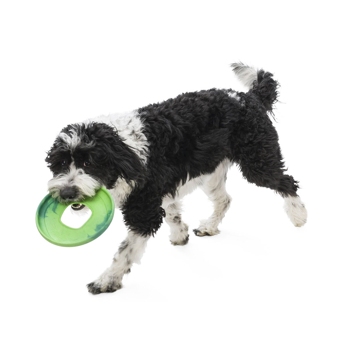 West Paw Sailz Seaflex Frisbee Disc Dog Toy