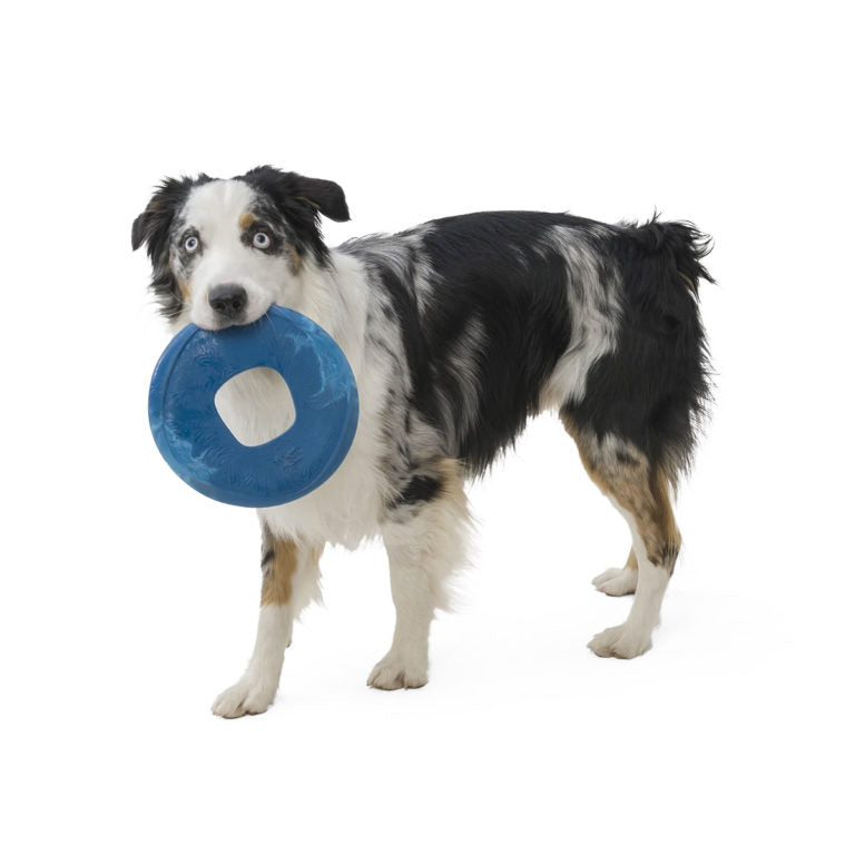 West Paw Sailz Seaflex Frisbee Disc Dog Toy