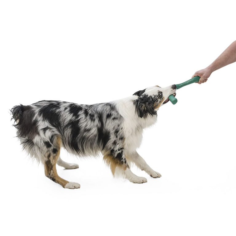 West Paw Snorkl Seaflex Dog Toy