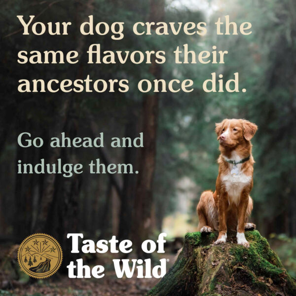 Taste of the Wild: High Prairie Puppy Recipe