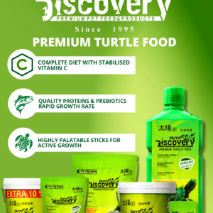 Taiyo Pluss Discovery Turtle Containers 500g