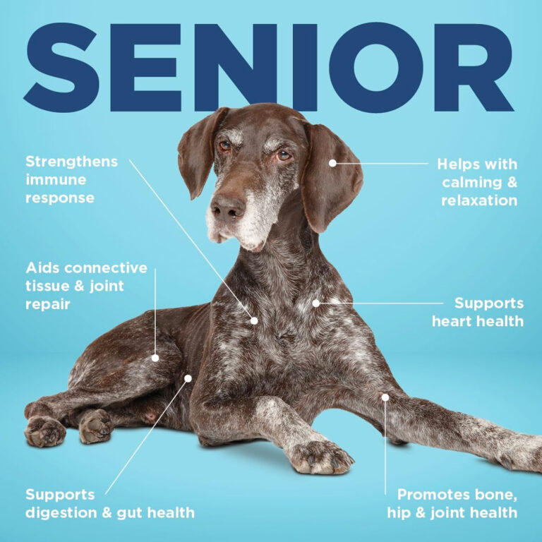 Vetericyn® ALL-IN Dog Supplement – Senior