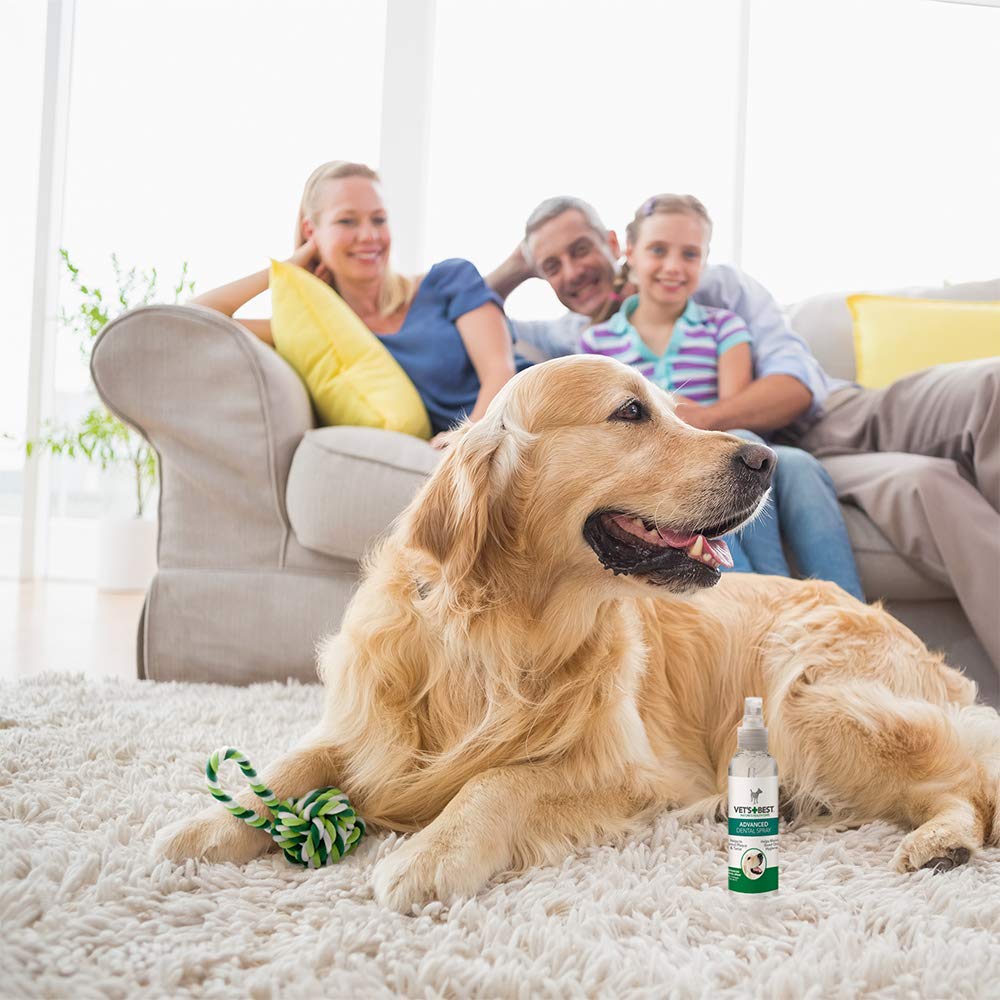 Vet's Best Advanced Dental Spray & Floss Ball for Dogs 120ml