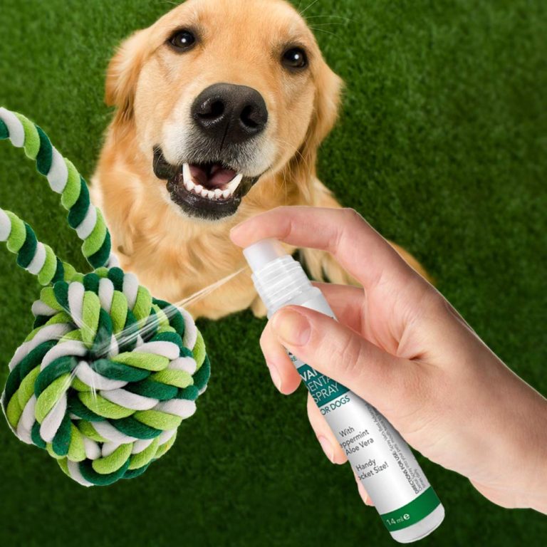 Vet's Best Advanced Dental Spray & Floss Ball for Dogs 120ml
