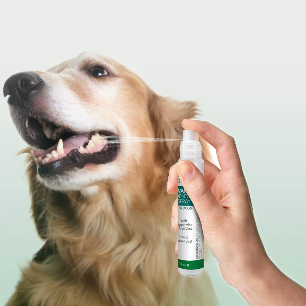 Vet's Best Advanced Dental Spray With Peppermint and Aloe Vera 14ml
