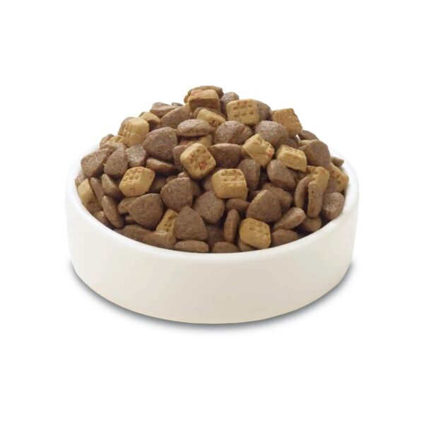 Wanpy Grain Free Complete Food for Adult Cat – Salmon Recipe 500 g