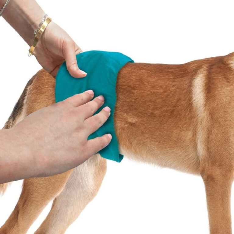 Simple Solution Washable Male Dog Wraps Large