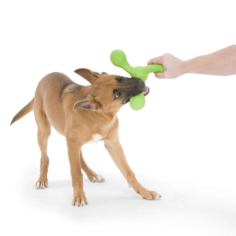 West Paw Westpaw Design Skamp with Zogoflex Echo