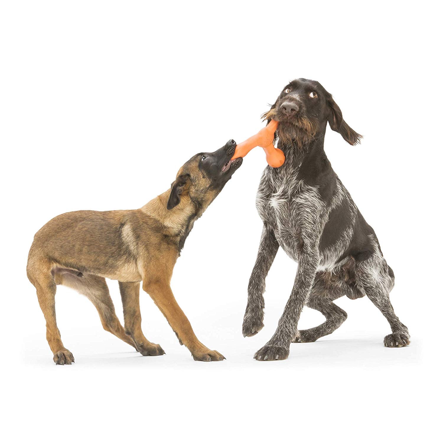 West Paw Westpaw Design Skamp with Zogoflex Echo