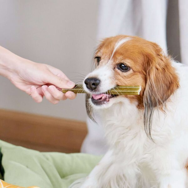 Whimzees Soft Daily Dental Dog Treats Value Bag – Medium (14 pcs)