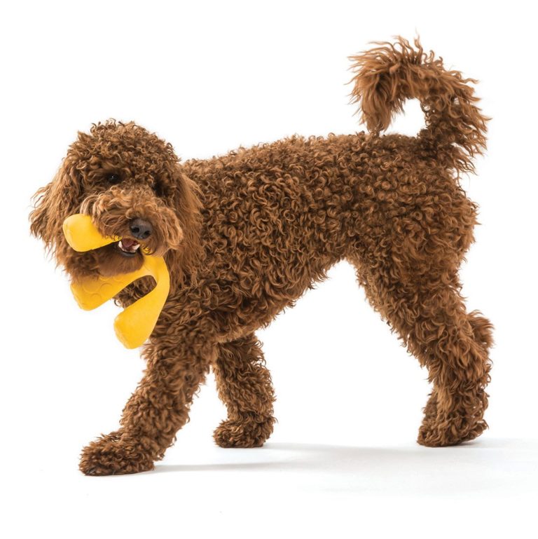 West Paw Wox Dog Toy